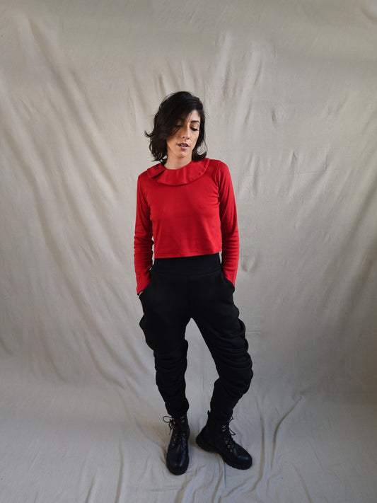 Scarlet Red Peter Pan Collar Long Sleeve Blouse