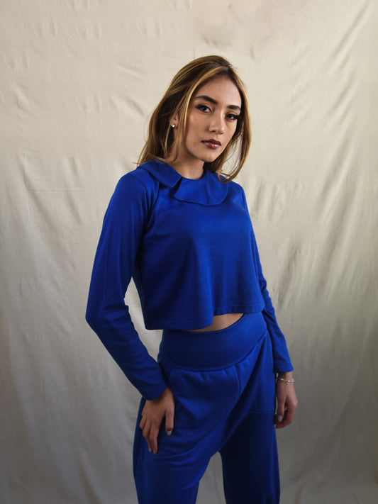 Royal Blue Peter Pan Collar Long Sleeve Blouse